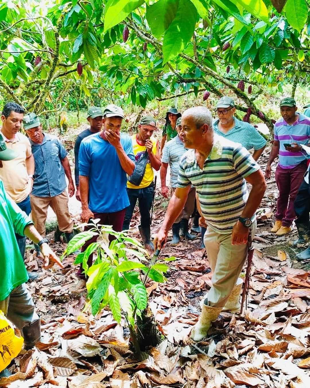 Camacã: Em parceria com o SENAR, Secretaria de Agricultura realiza dia de visita e conclui mais um curso para os agricultores
